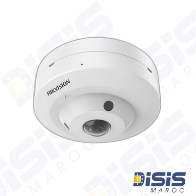 Camera HIKVISION Fisheye Analogique Hybrid Light 3K avec audio 180°