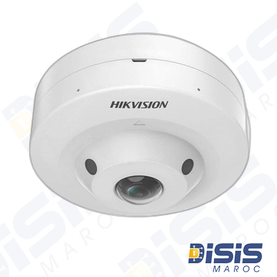 Camera HIKVISION Fisheye Analogique Hybrid Light 3K avec audio 180°