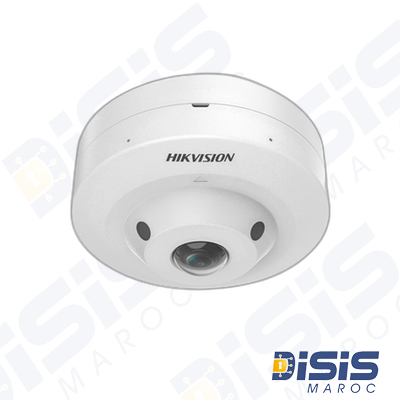 Camera HIKVISION Fisheye Analogique Hybrid Light 3K avec audio 180° main image