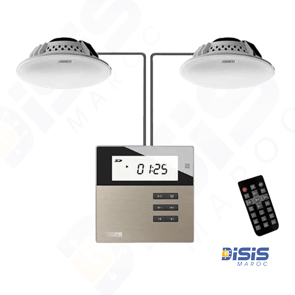 Mini amplificateur avec haut-parleurs