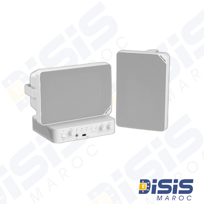 Hikvision Kit Audio Analog, Amplificateur 60W 2 Haut-parleurs boiti 20W