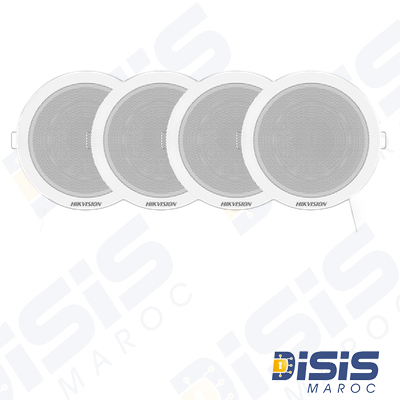 Hikvision Kit Audio Analog, Amplificateur 60W+4 HP plf 6W