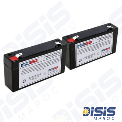 Batterie Rechargeable 6V-1.3AH NP1.3-6