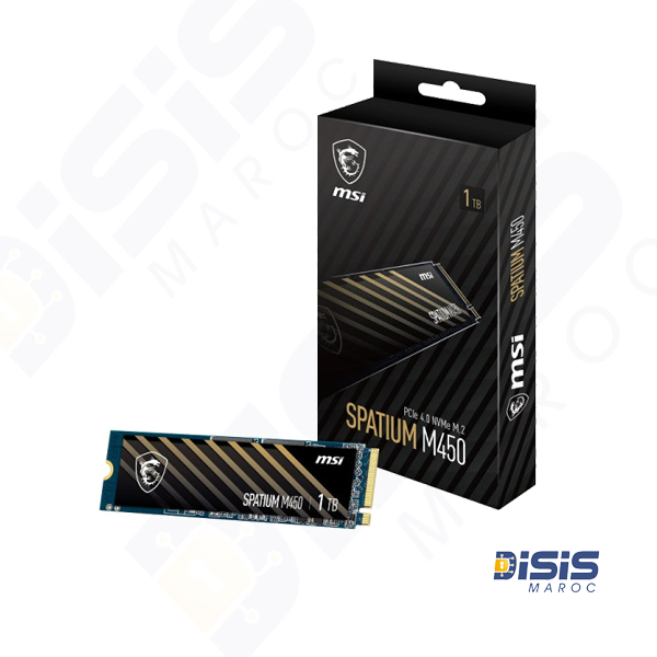 Disque Dur MSI SPATIUM M450 PCIe 4.0 NVMe M.2 1TB