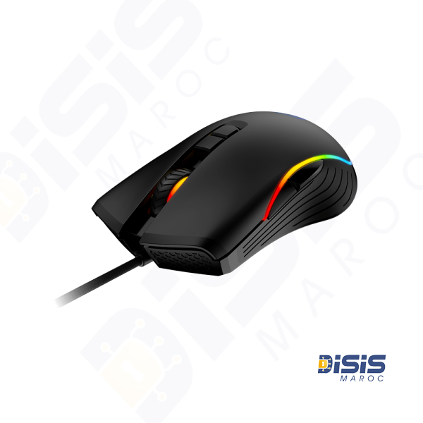 Souris MSI FORGE GM300