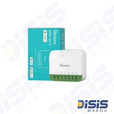 SONOFF MINI-2GS module Wifi Double MATTER